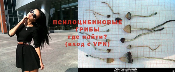 jwh Покров
