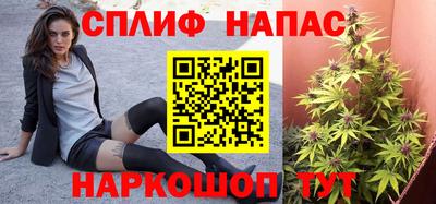 шишки Берёзовский