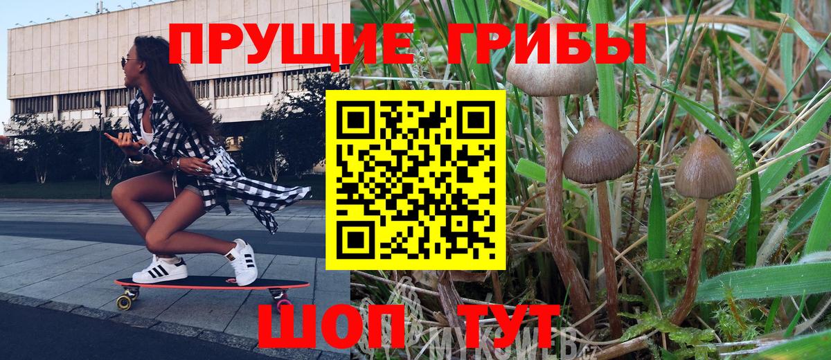Галлюциногенные грибы MAGIC MUSHROOMS Ульяновск