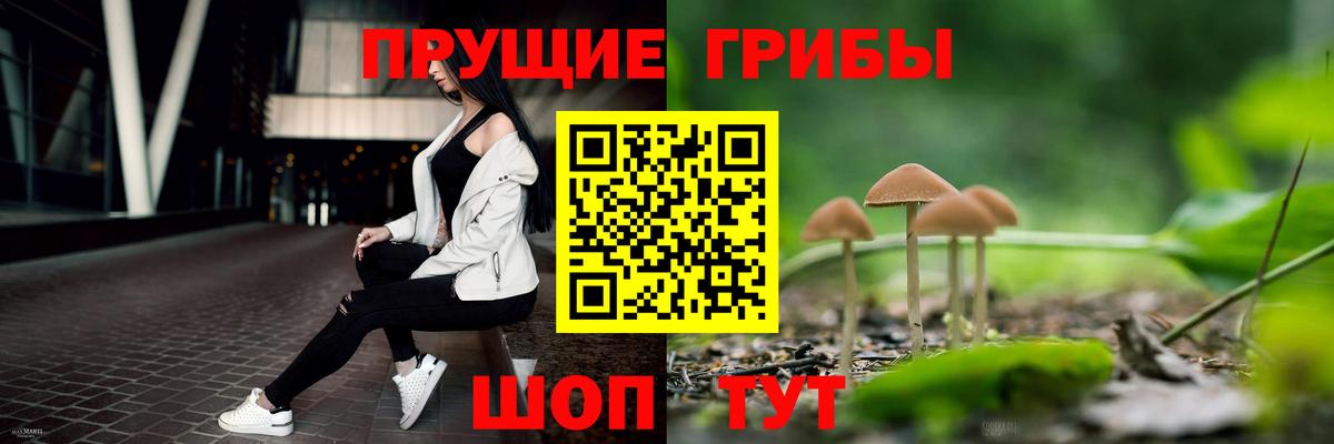 Галлюциногенные грибы GOLDEN TEACHER  Вход с VPN  Ульяновск 